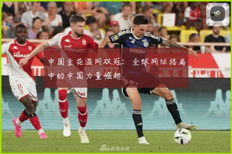 中国金花温网双冠:全球网坛格局中的中国力量崛起