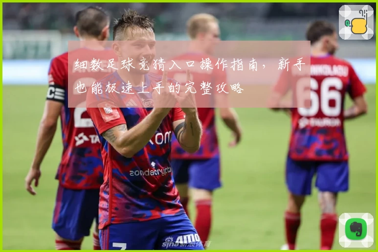 细数足球竞猜入口操作指南，新手也能极速上手的完整攻略