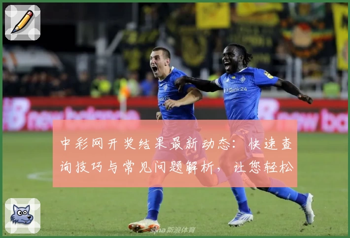 中彩网开奖结果最新动态：快速查询技巧与常见问题解析，让您轻松掌握号码详情