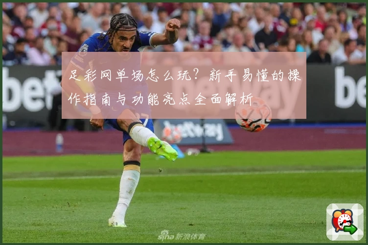 足彩网单场怎么玩？新手易懂的操作指南与功能亮点全面解析