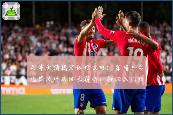 足球竞猜稳定体验攻略：靠谱平台选择技巧及玩法解析，轻松入门新手不再迷茫